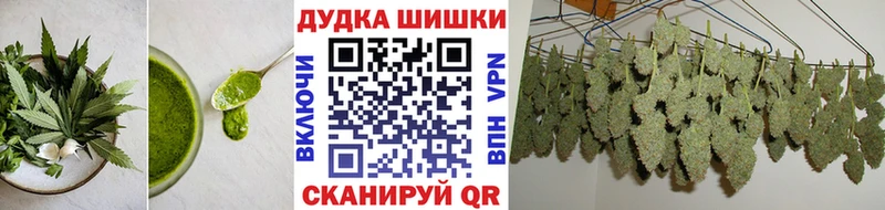 Canna-Cookies марихуана  как найти   Кондрово 