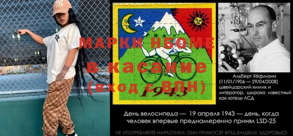 сатива Пересвет