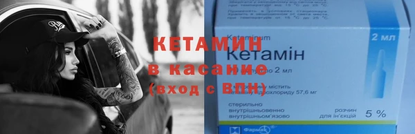 сатива Пересвет