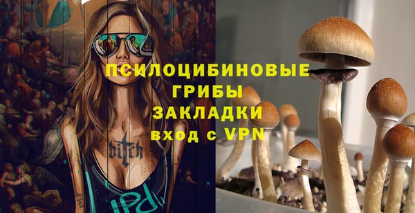 кокс Осташков